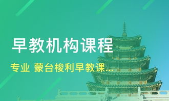 天津早期教育機構(gòu)概覽 喜童、新愛嬰與淘學培訓淺析